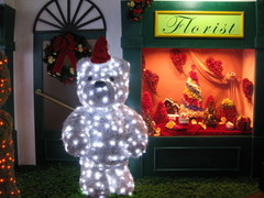 20081221102631_701814861.jpg