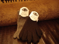 DSC02983.JPG