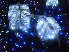 081210_1.jpg
