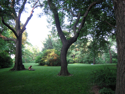 070617_1227.JPG