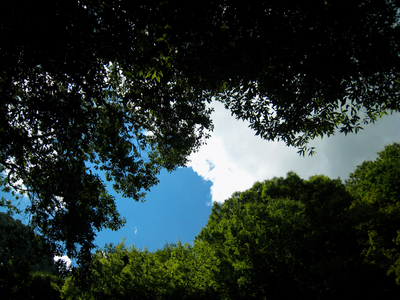 070819_1609.JPG